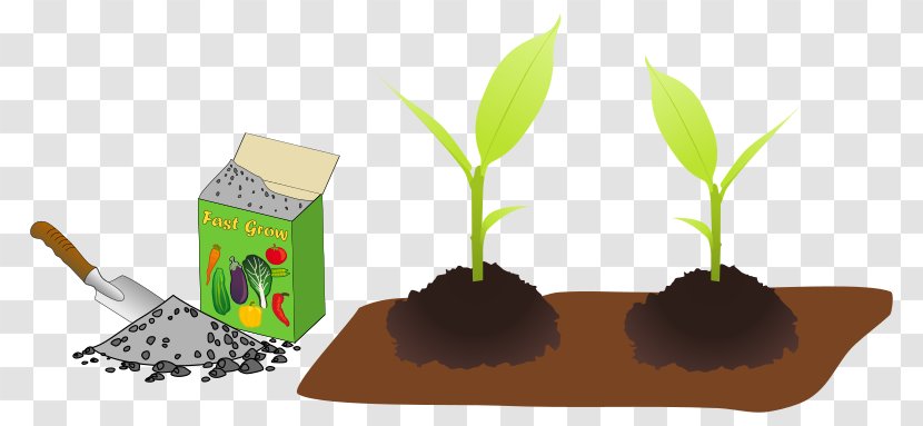 Cartoon Grass - Plants - Flowerpot Plant Stem Transparent PNG