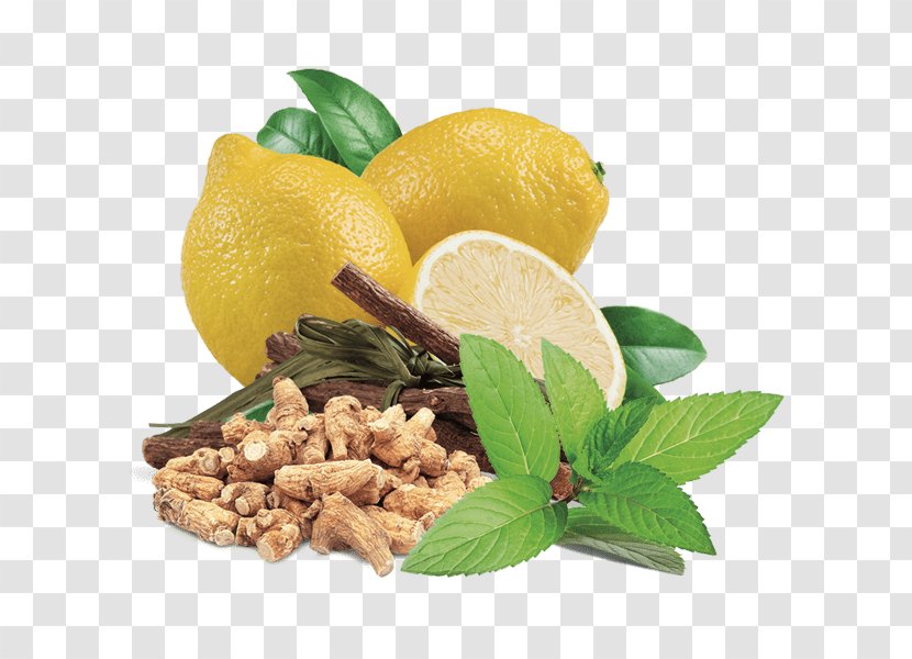 Vegetarian Cuisine Lemon Basil Liquorice Mints - Beefsteak Plant Transparent PNG