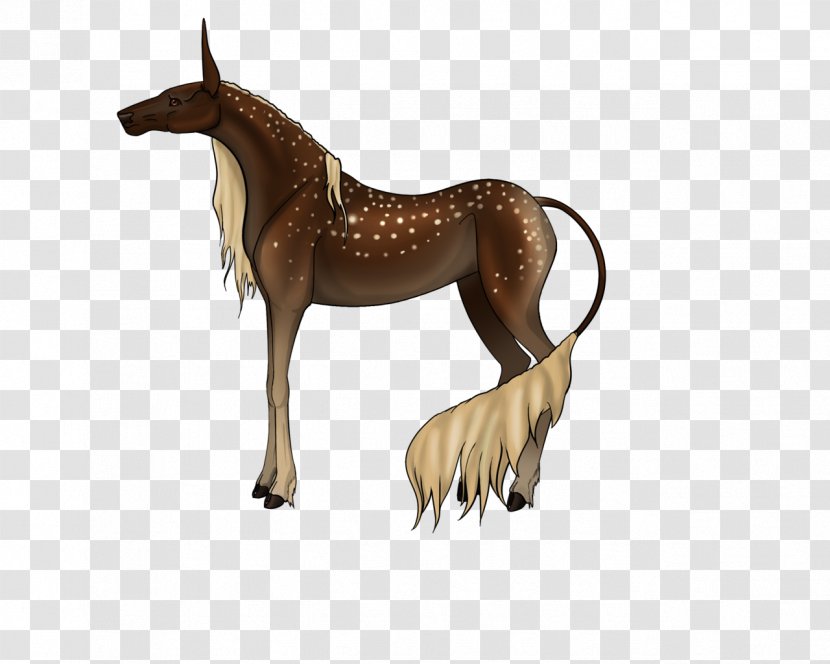 Mule Foal Mustang Stallion Colt - Pack Animal Transparent PNG