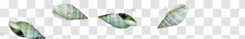 Seashell Sea Snail Clip Art - Seabed Shell Material Free To Pull Transparent PNG
