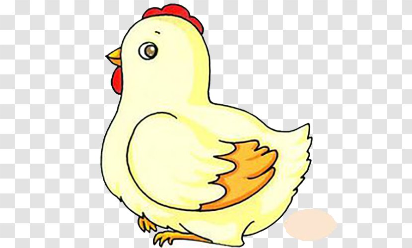 Chicken Vector Graphics Egg Image Rooster - Art - Cute Cartoon Hen Transparent PNG