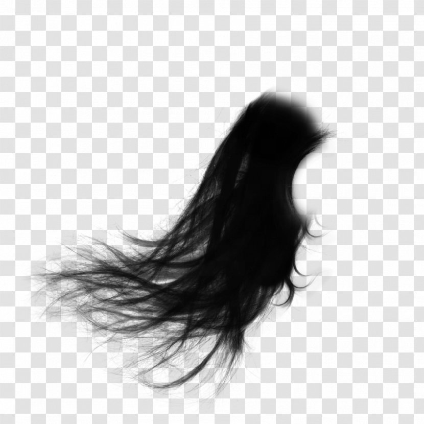 Long Hair - Frame - Elegant Scattering Transparent PNG