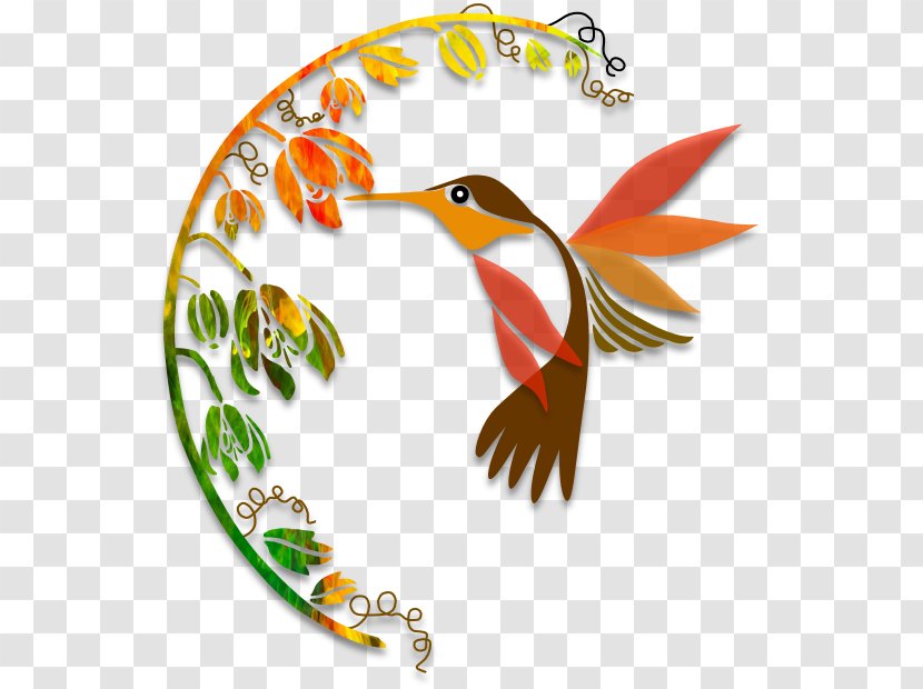 Hummingbird Art Silhouette - Branch Transparent PNG