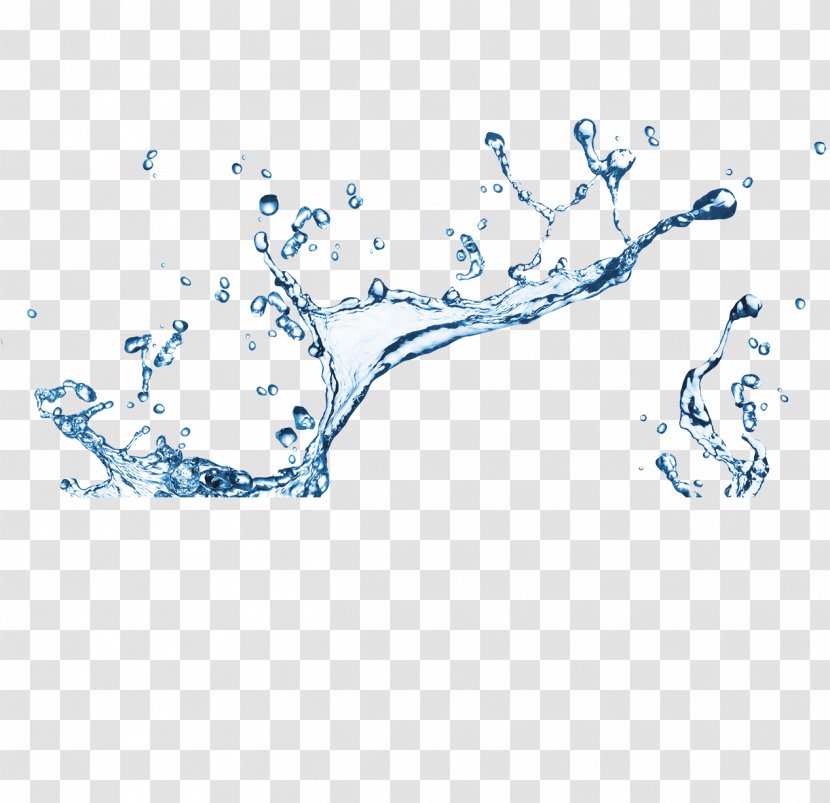 Water Drop Stock Photography - Tree - Splash Transparent PNG