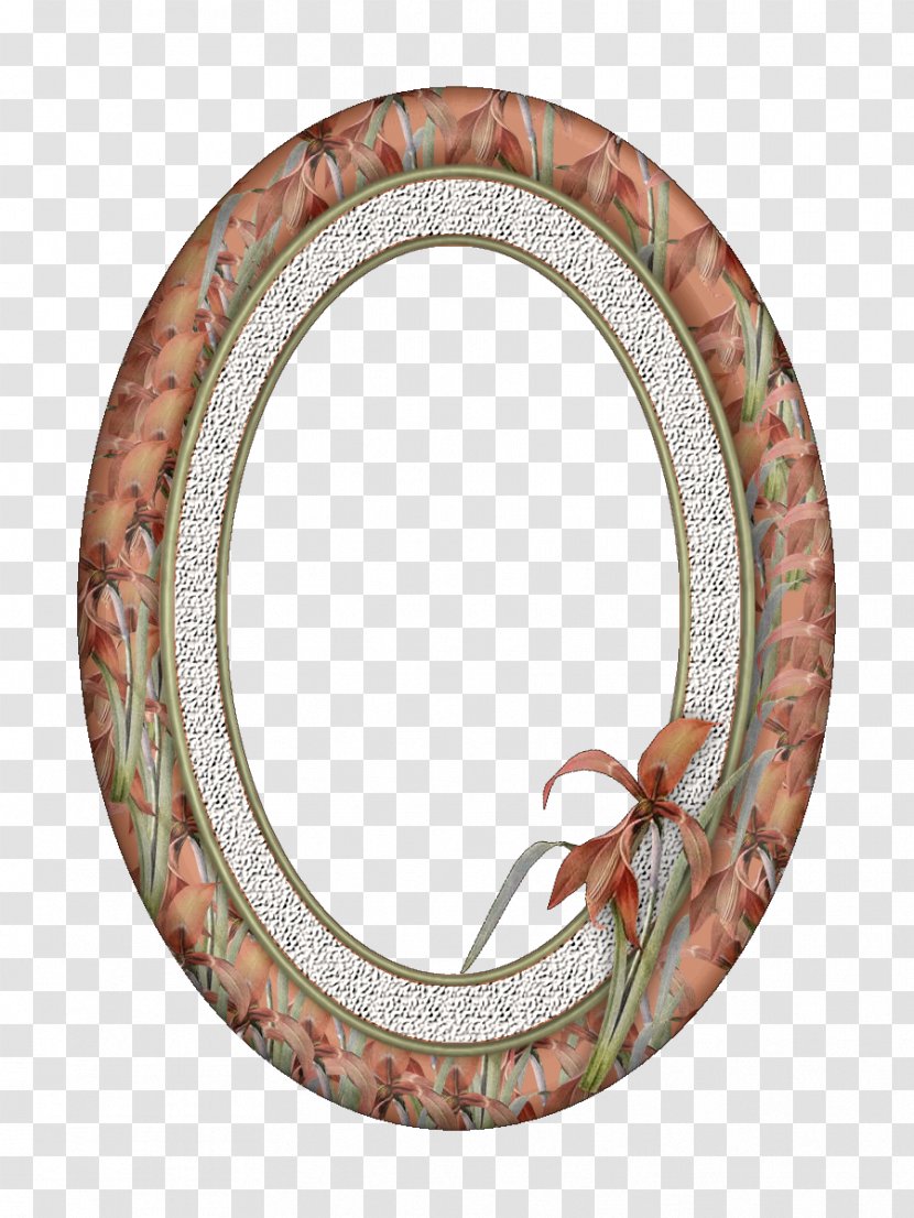 Picture Frames Oval Photography Clip Art Transparent PNG
