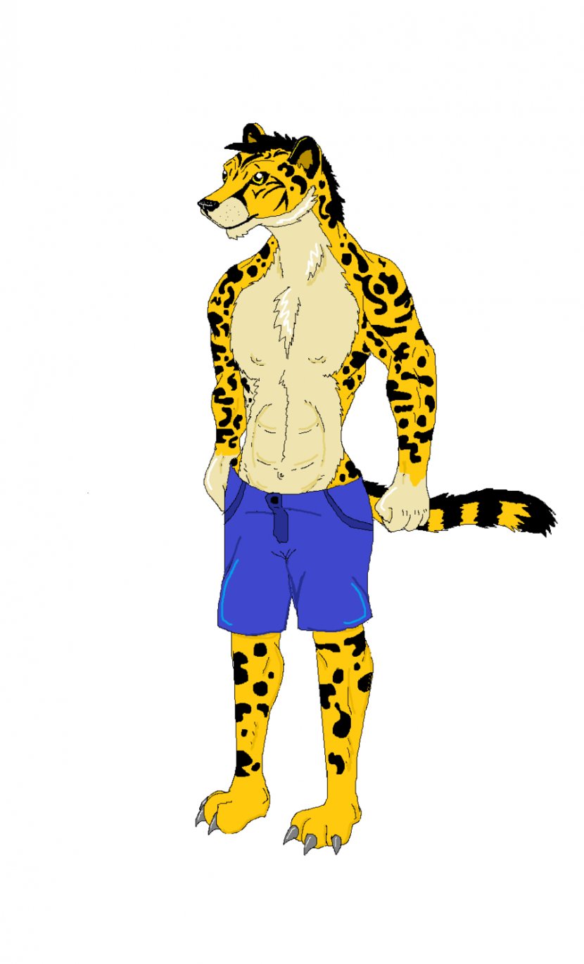 King Cheetah Cat Mammal - Art Transparent PNG