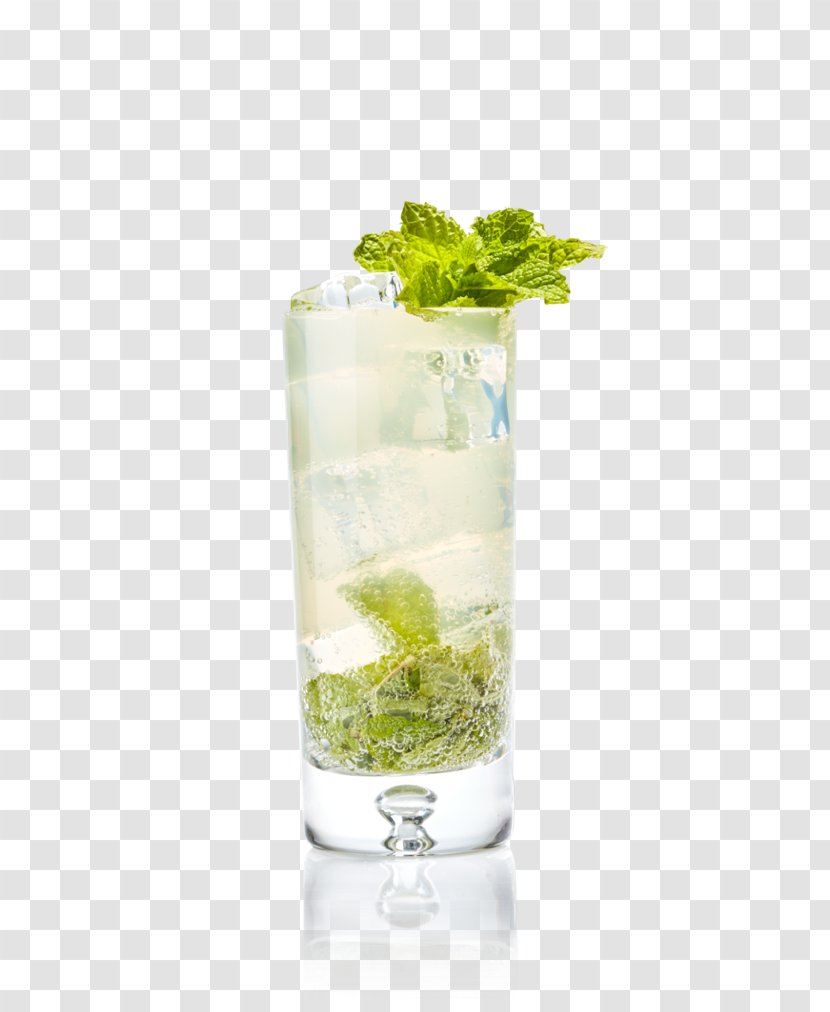 Mojito Rickey Rum Cocktail Garnish - Lemon Lime - Little Refreshing Paradise Transparent PNG