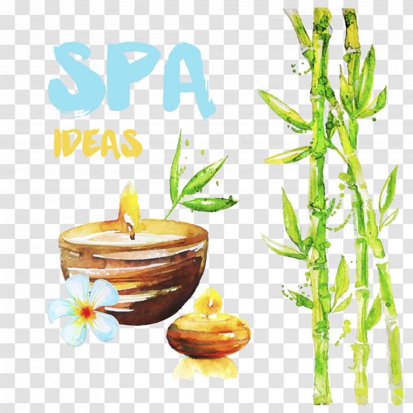 SPA - Painting - Watercolor Transparent PNG