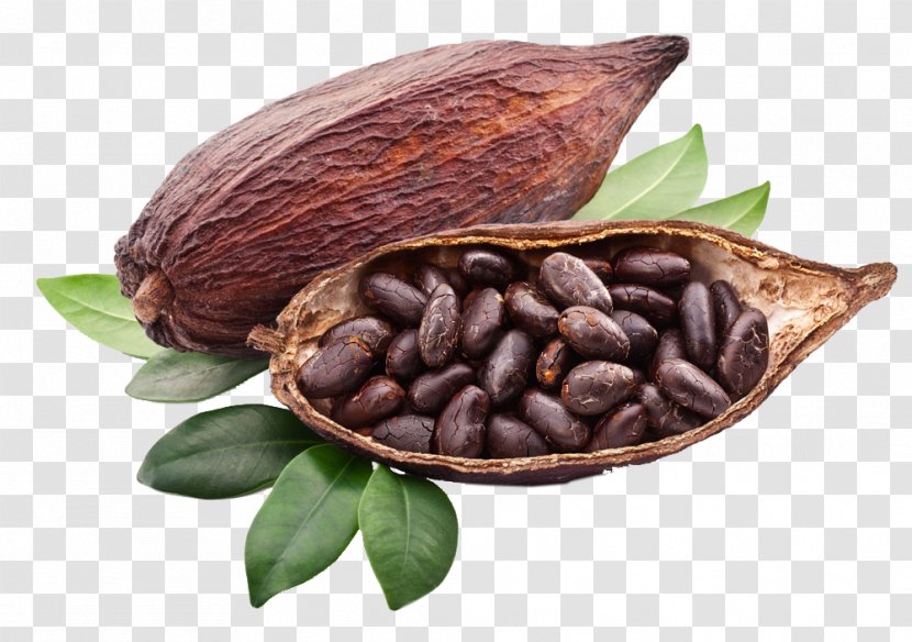 Criollo Cocoa Bean Solids Trinitario Chocolate - Food - Baking Transparent PNG