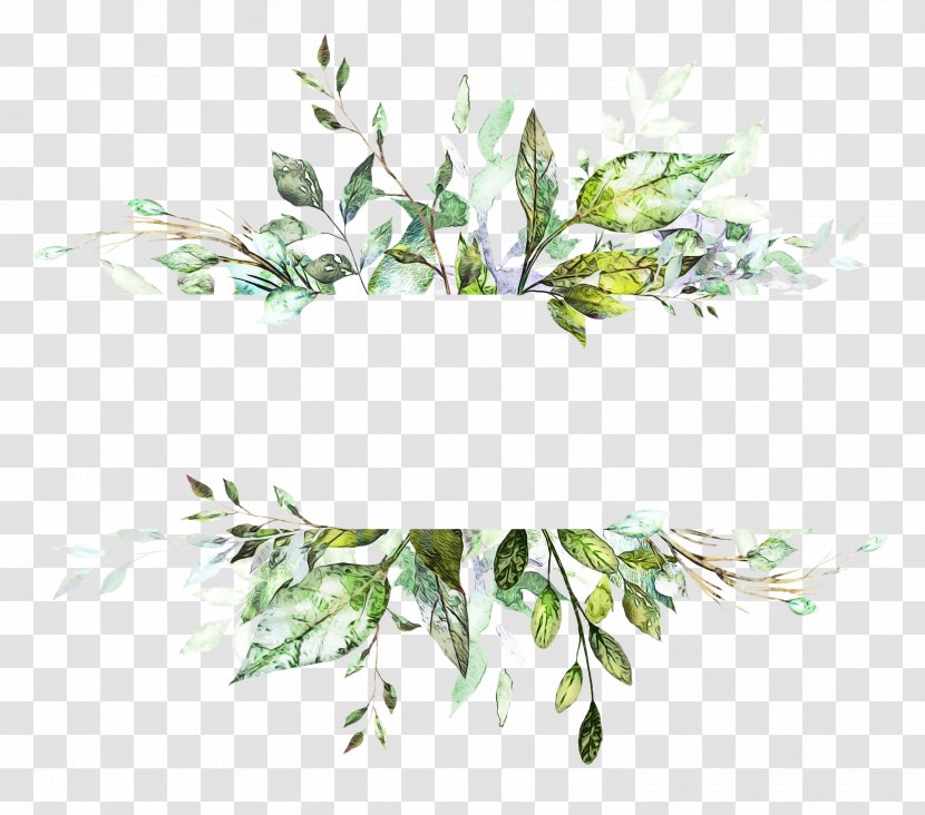Flower Art Watercolor - Plant - Stem Twig Transparent PNG