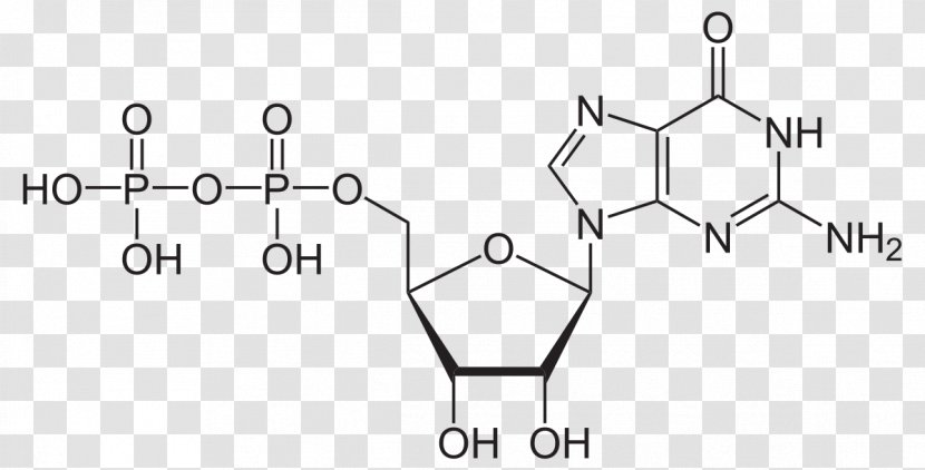 Cyclic Adenosine Monophosphate Triphosphate Diphosphate Second Messenger System - Tree - Molecular Structure Transparent PNG