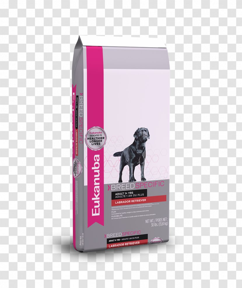 Eukanuba Breed Specific Labrador Retriever Adult Dry Dog Food Standard Nutrition 30 Lb - Bag - Flat Coated Transparent PNG