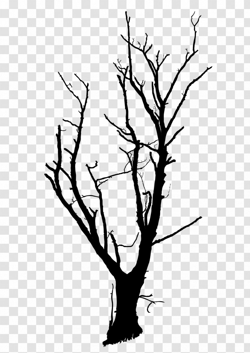 Tree Drawing Clip Art - Monochrome Transparent PNG
