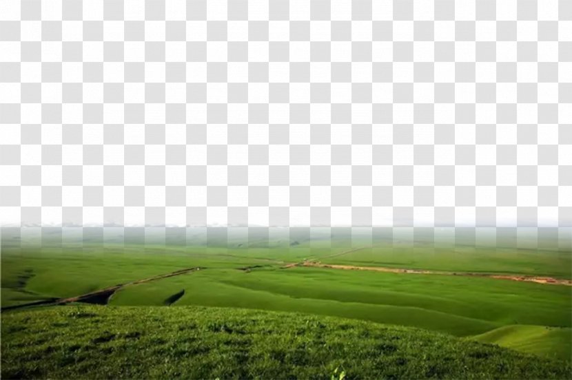 Lawn Rural Area Land Lot Ecoregion Wallpaper - Plain - The Bottom Edge Of Prairie Background Transparent PNG