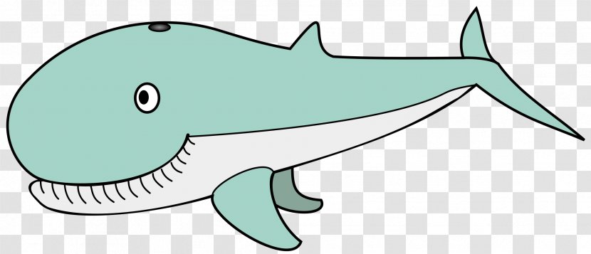 Humpback Whale Killer Drawing Clip Art - Organism Transparent PNG