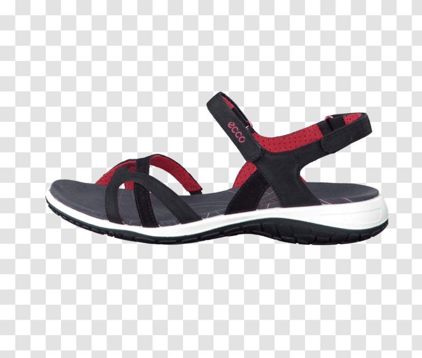 Slide Sandal Shoe - Cross Training Transparent PNG