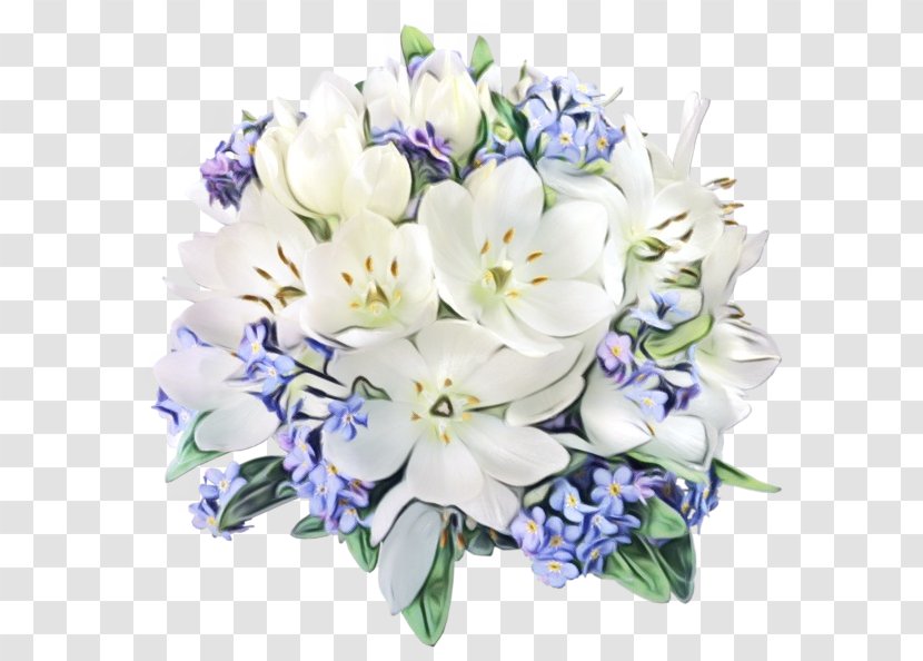 Image Happiness Morning Floral Design Desktop Wallpaper - Wednesday - Petal Transparent PNG