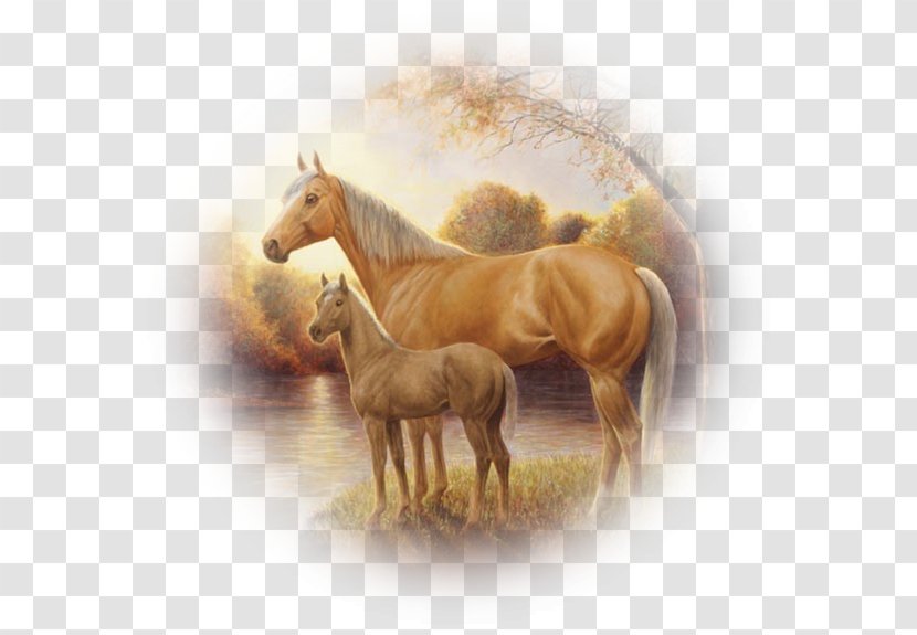 Horse Drawing 2017 Kentucky Derby Pony - Mare - Pas De Deux Transparent PNG