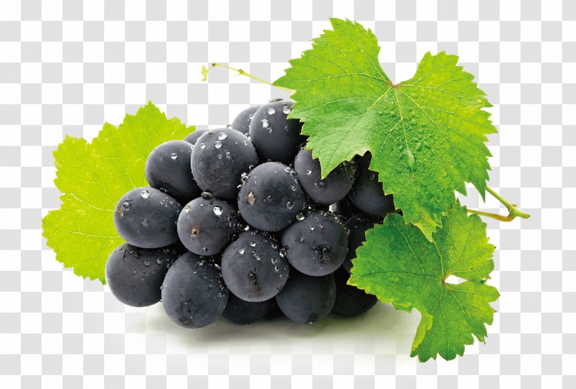 Common Grape Vine Wine Fruit Juice - Food Transparent PNG