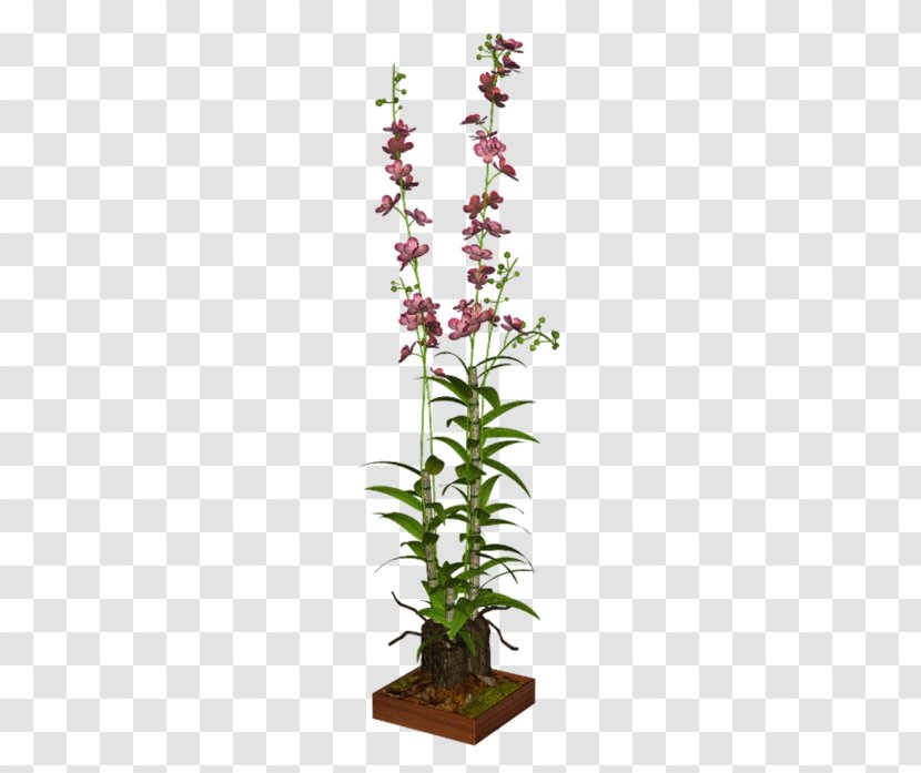 Flower Houseplant Clip Art - Herb Transparent PNG