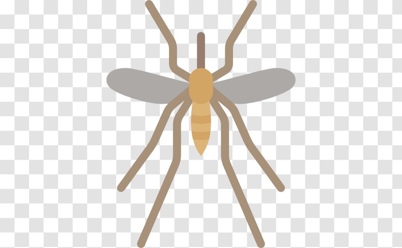 Insect Mosquito Clip Art - Termite Transparent PNG
