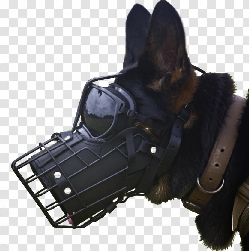 Malinois Dog German Shepherd Belgian Dogs In Warfare Police - Leash - Leatherneck Raiders Transparent PNG