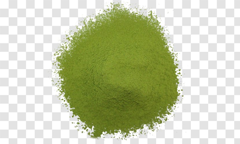 Green Tea New Zealand Matcha Genmaicha Transparent PNG