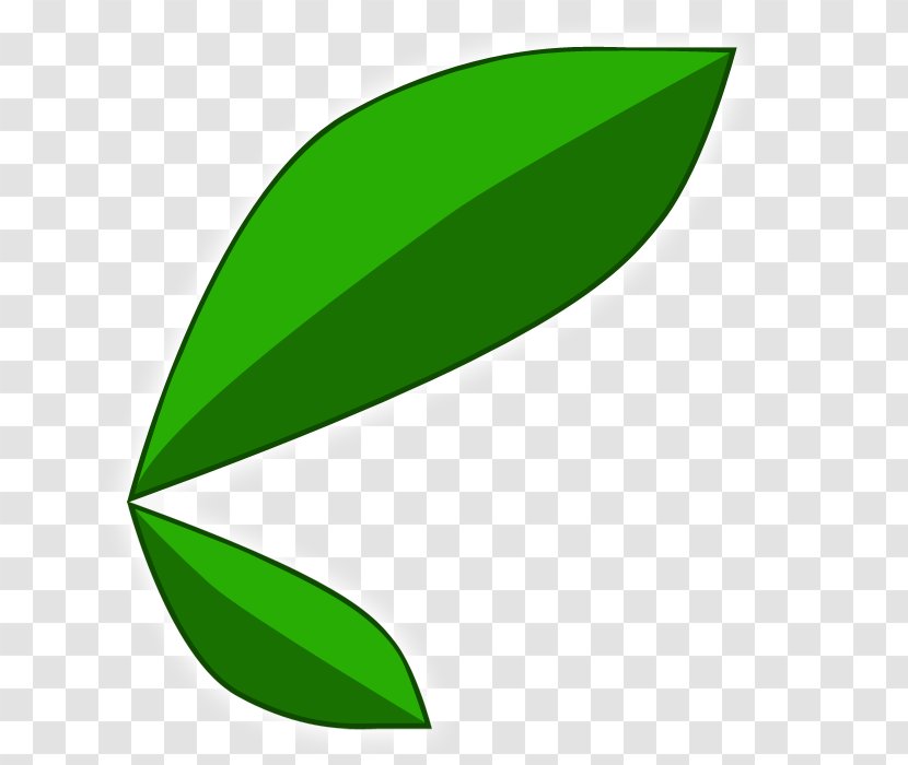 Leaf Clip Art Plant Stem Product Design Line - Botany Transparent PNG