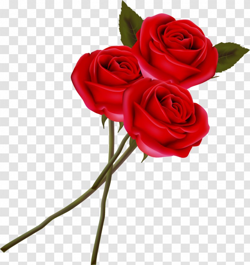 Valentine's Day Heart Flower Clip Art - Frame - Rose Transparent PNG