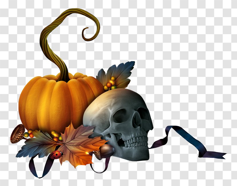 Pumpkin Clip Art Halloween Decorative Borders Jack-o'-lantern Transparent PNG
