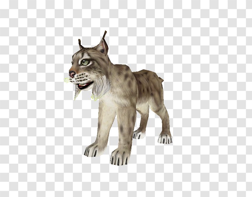 Cougar Big Cat Terrestrial Animal Fur Transparent PNG