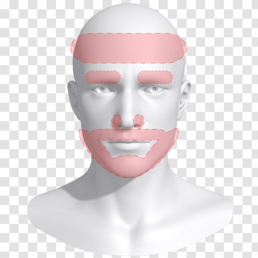 Nose Chin Cheek Jaw Transparent PNG
