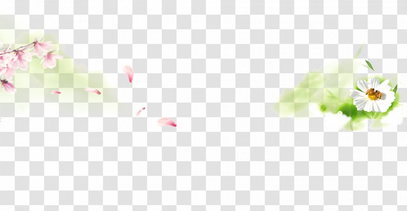 Download Computer File - Gratis - Floral Background Transparent PNG