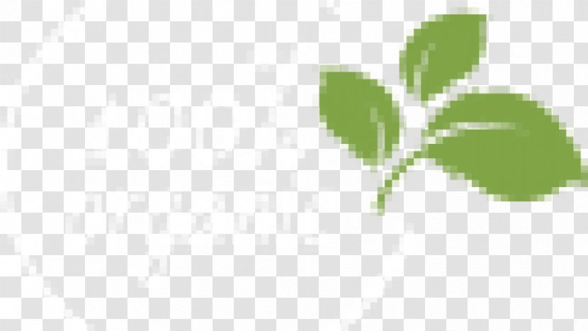 Green Leaf Plant Stem Font - Tree Transparent PNG