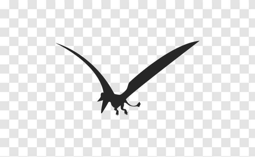 Eudimorphodon Pterosaurs Dinosaur - Silhouette - Vector Transparent PNG