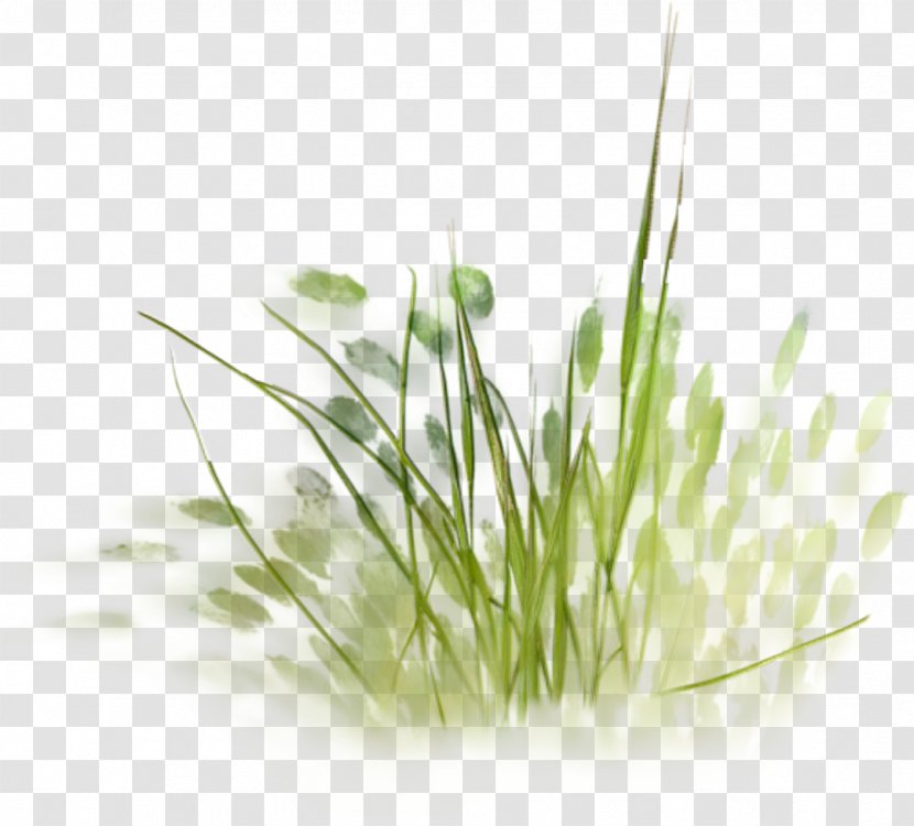 Painting Architecture Drawing - Garden - Grass Transparent PNG
