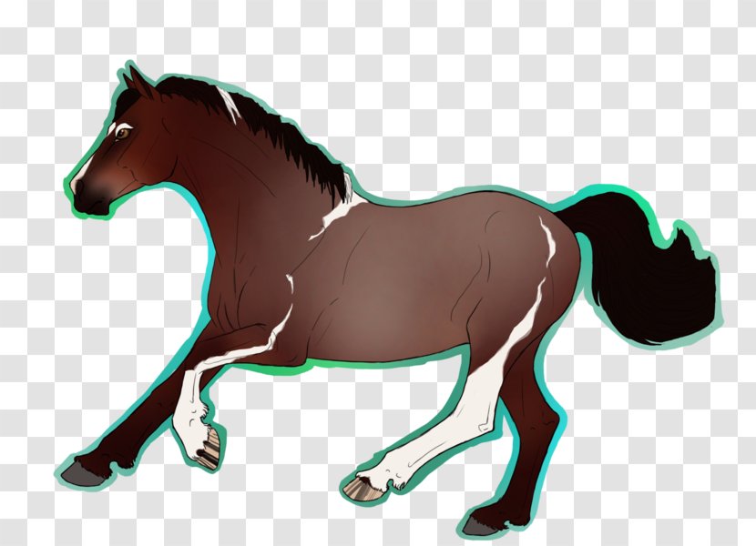 Mustang Stallion Foal Colt Mare - Horse Tack Transparent PNG