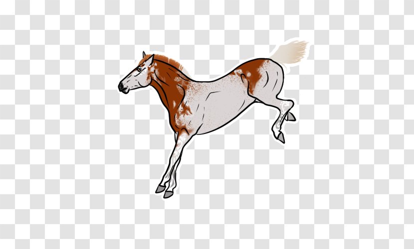 Foal Mustang Mare Halter Stallion Transparent PNG