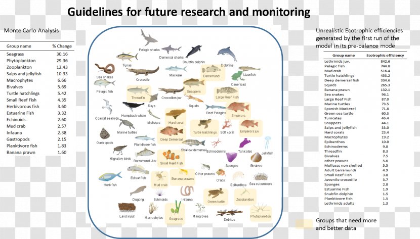 Document Organism Line Transparent PNG