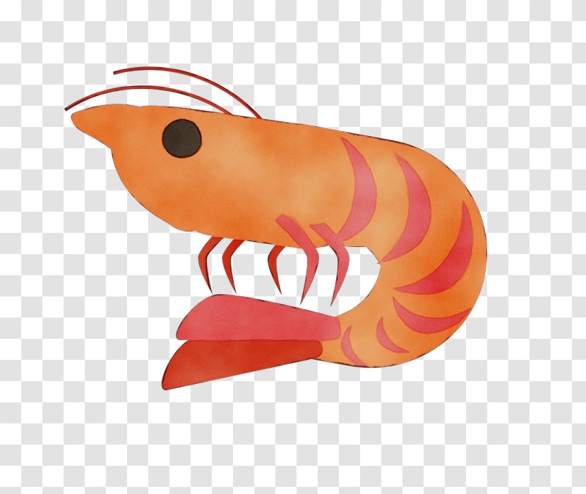 Orange - Tail Lobster Transparent PNG