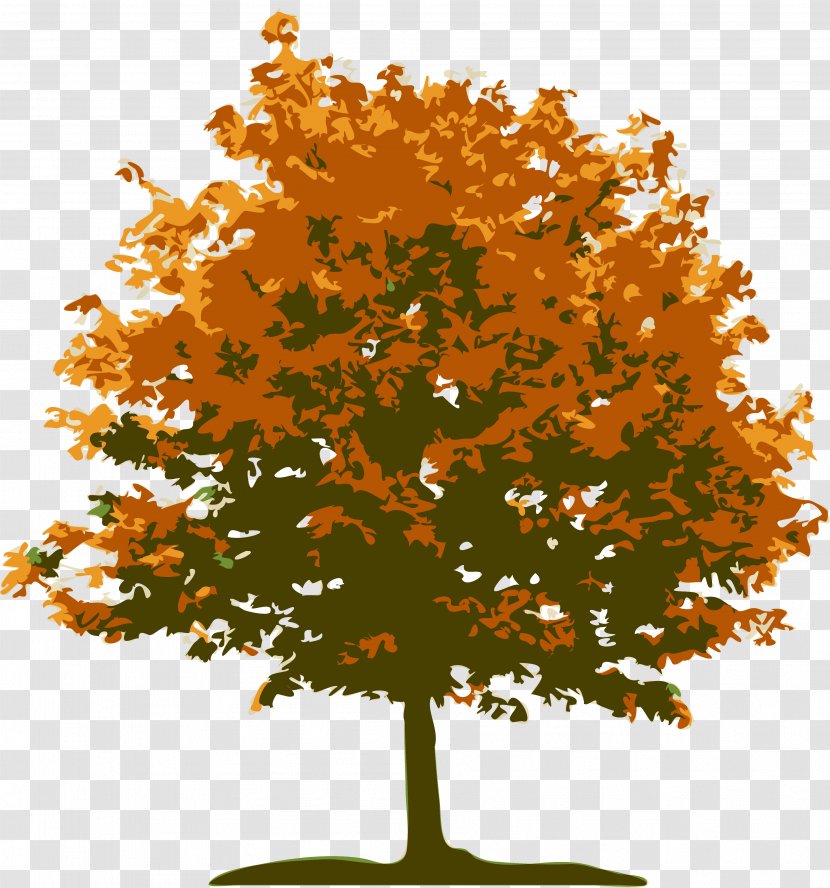 Tree Landscape Lawn Red Maple - Landscaping Transparent PNG