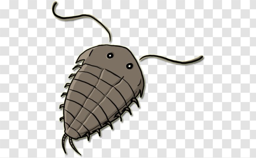 Artist Insect Trilobitten DeviantArt - Art - Cartoon Cuteness Transparent PNG