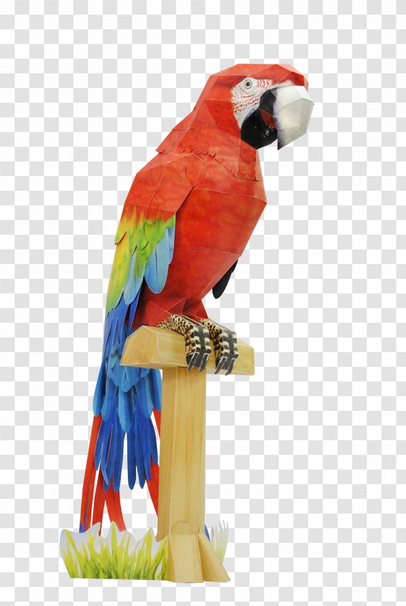 Budgerigar Macaw Paper Bird Parrot Transparent PNG