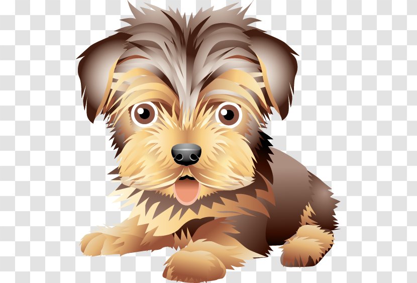 Bichon Frise Shar Pei Poodle Cuteness - Ear - Cute Puppy Transparent PNG