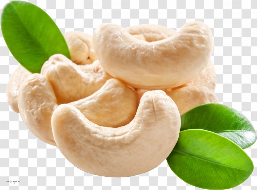 Cashew Dried Fruit Nut - Traditional - (7) Transparent PNG