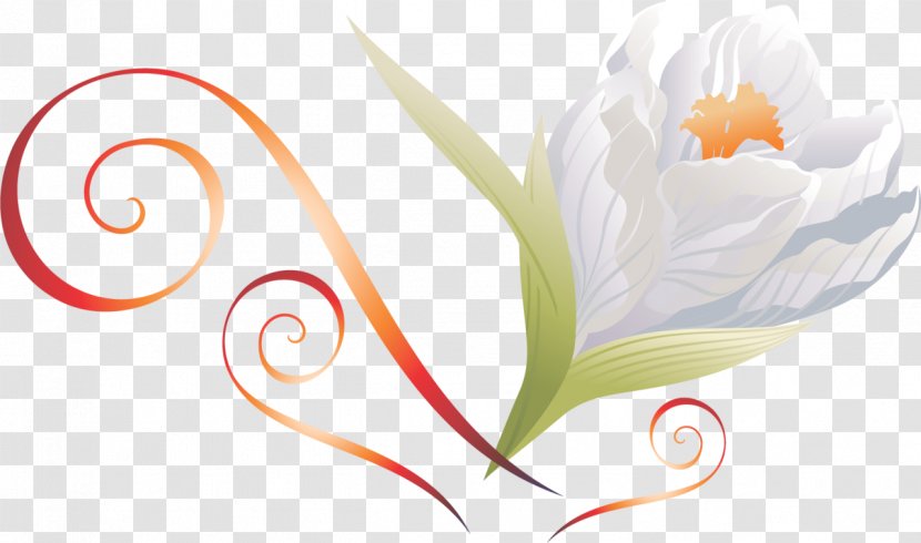 Flower PhotoScape Clip Art - Plant Stem - Crocus Transparent PNG