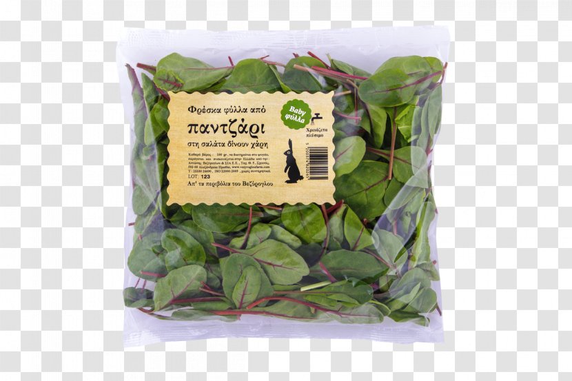 Veziroglou, A., & SIA E.E. Leaf Vegetable Herb Spinach - Plant - Farm Fresh Transparent PNG