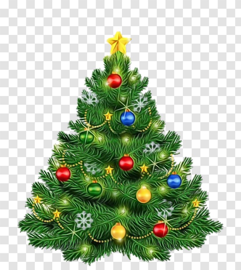 Christmas Tree - Holiday Ornament Balsam Fir Transparent PNG
