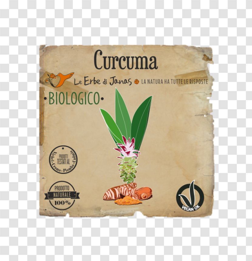 Turmeric Henna Herb Cosmetics Vegetable Oil - Indian Gooseberry - Curcuma Transparent PNG