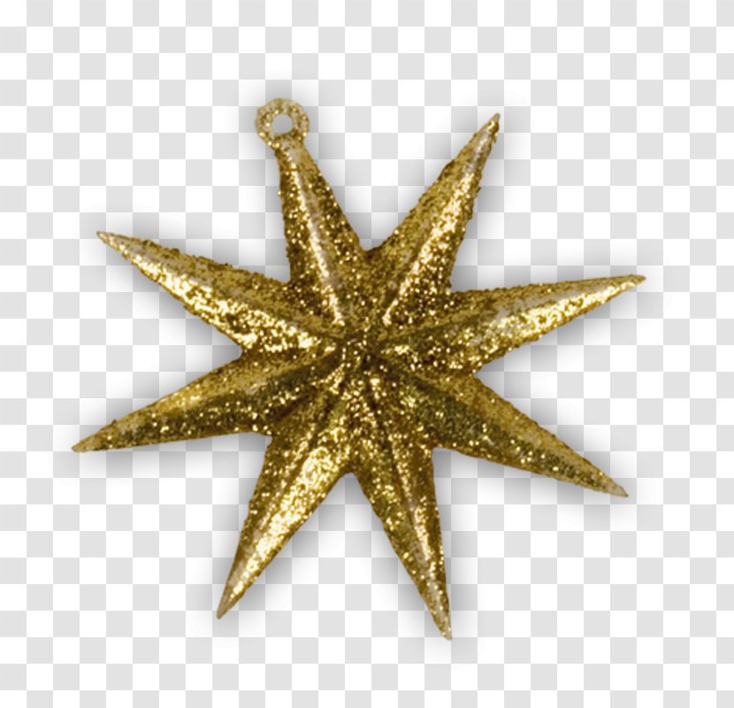 Star Christmas Ornament - Starfish Transparent PNG